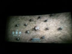 android_upload_pic-金逸影城(中关村店)