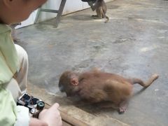 -西安秦岭野生动物园