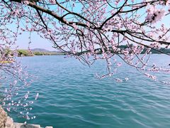 -颐和园