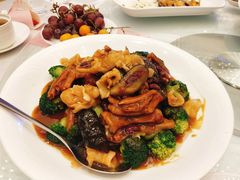 花胶海参扒鹅掌-金满楼(天河中路店)