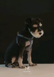 -米莱摄影写真(五大道别墅店)