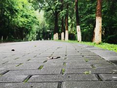 -水濂山森林公园