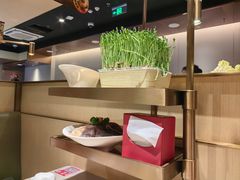 -海底捞火锅(吾悦广场店)