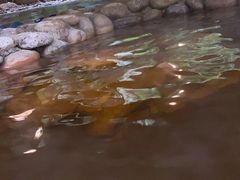 -融汇温泉