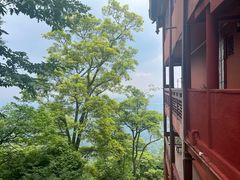 -青城山