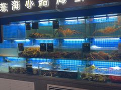 -鸽子侯·家宴·平价海鲜(市图书馆店)