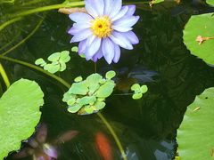 -国家植物园南园