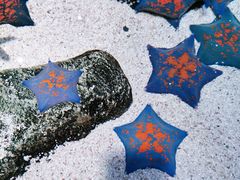 -沈阳海洋探索中心