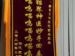 -美美宠物诊疗中心·异宠·骨科(滨江东信分院)