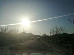 景观位-西关老字号钵仔糕(上下九宝华路店)