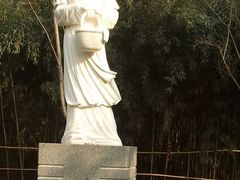 -西安曲江寒窑遗址公园