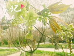 -南山植物园