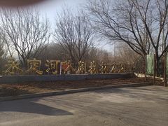 -永定河休闲森林公园