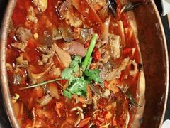 -蓉客成都火锅·招牌麻辣牛杂·特色香辣蹄花(凌水店)