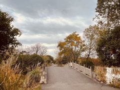 -梁鸿国家湿地公园