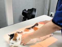 -美联众合动物医院·24h京西诊疗中心