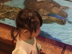 -波塞冬旅游度假区