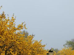 -铁山坪森林公园