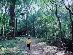 -东湖落雁景区