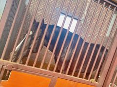 -意大利农场度假村