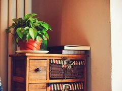 -蜗牛小馆醉乡民谣云南菜(惠新西里店)