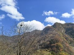 -秦岭终南山世界地质公园翠华山景区