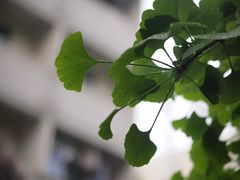 -陕西师范大学(雁塔校区)
