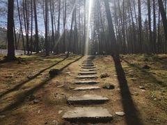 -硗碛藏寨·神木垒景区