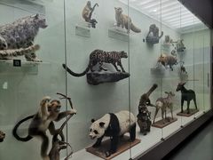 -国家自然博物馆