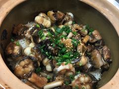 -红星光发煲仔饭(文海店)