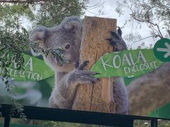 -费瑟代尔野生动物园