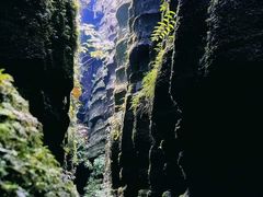 -梭布垭石林景区