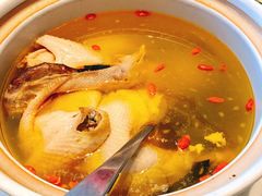 石耳炖肥西老母鸡汤-同庆楼(金宝汇店)