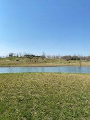 -圣嘉新医疗美容医院