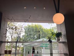 -溯洄咖啡VORTEX COFFEE