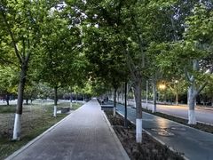 -山东理工大学