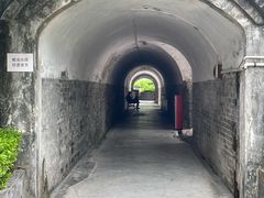 -长洲岛