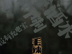 -毛辣果·酸(OHA复兴西路店)