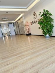 -维倪月子会所(独栋庭院·南海店)