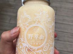 -野萃山·潮汕厚果汁(十亩地店)