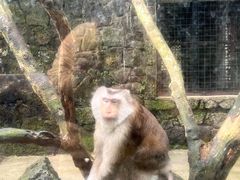 -海南热带野生动植物园