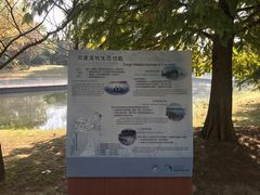-同里国家湿地公园