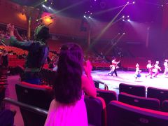 -珠海横琴长隆《卡卡虎奇遇记》