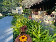 -四季酒店下午茶