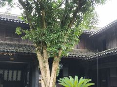 -柔石故居