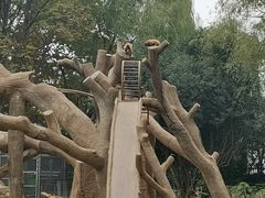 -郑州市动物园