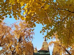 -北京石刻艺术博物馆(五塔寺)