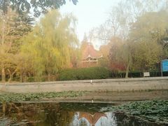 -八大关景区