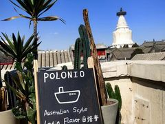 -polonio