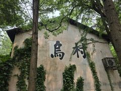 -乌村
